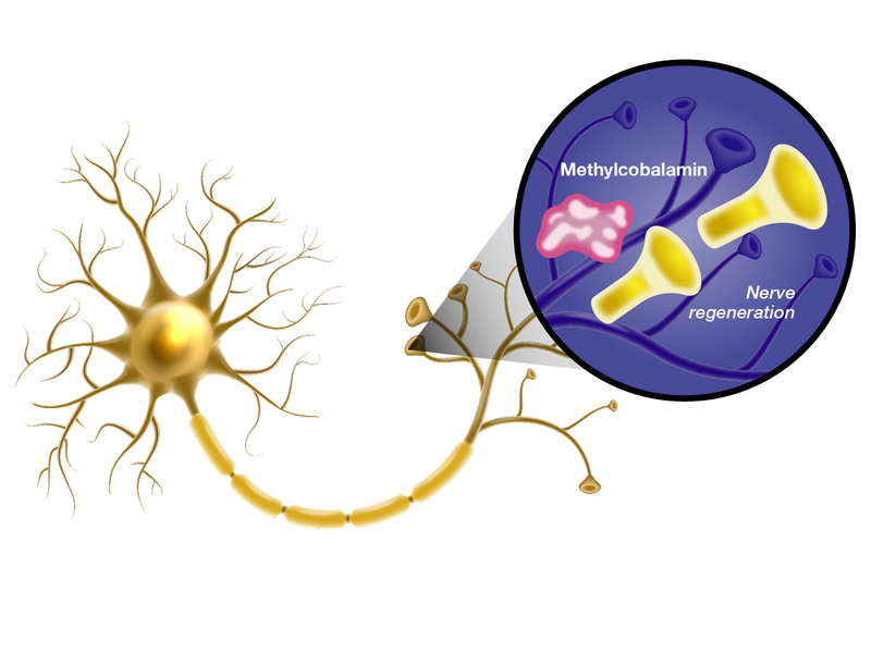 Learn How Metanx® Works