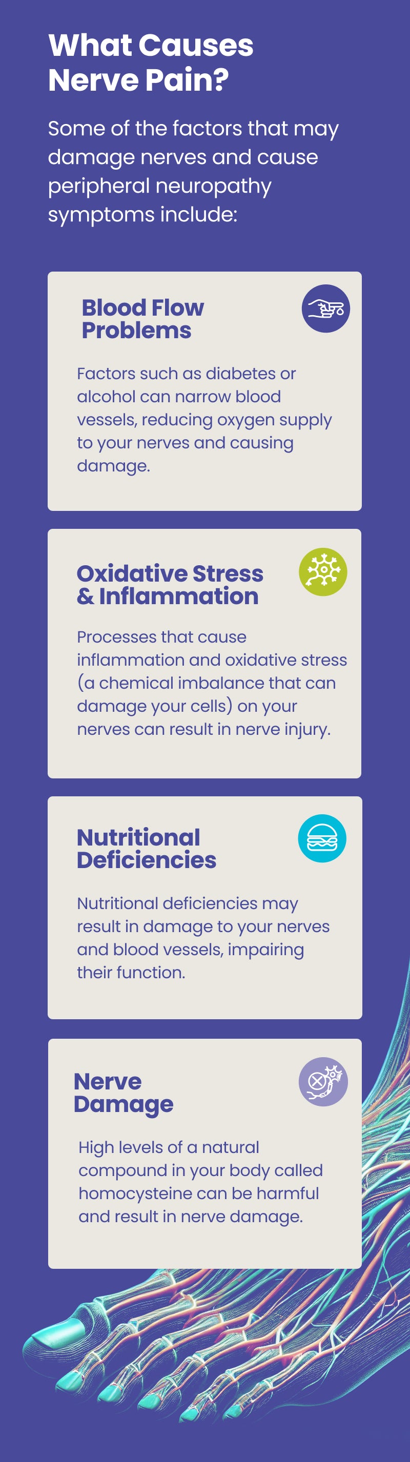 Infographic depicting some of the factors that cause nerve pain (blood flow problems, oxidative stress & inflammation, nutritional deficiencies, and nerve damage)