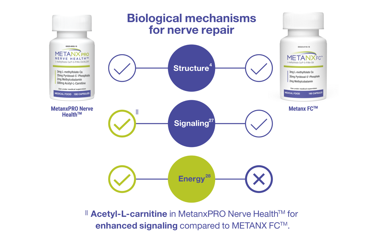 Diagram of biological mechanisms for nerve repair with Metanx products on a white background.