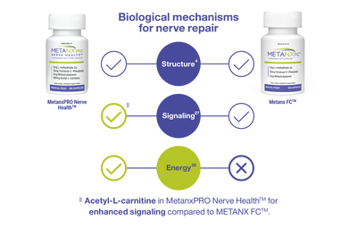 Learn How Metanx® Works