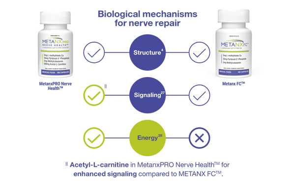 Learn How Metanx® Works