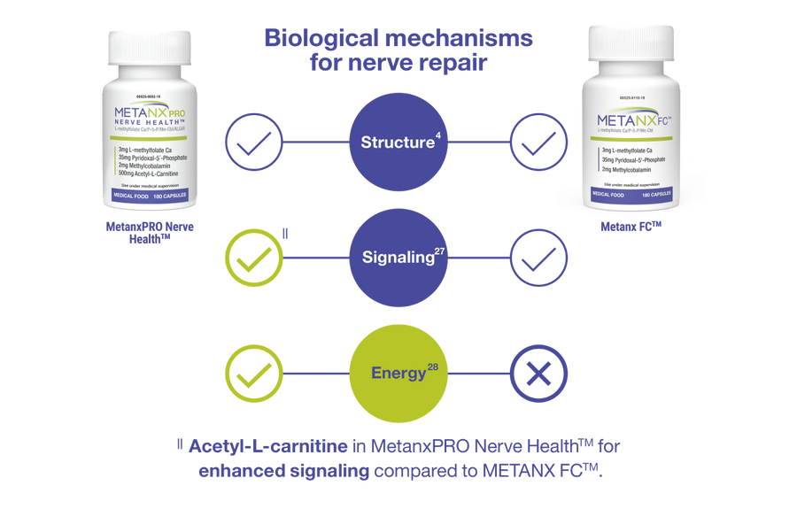 Learn How Metanx® Works