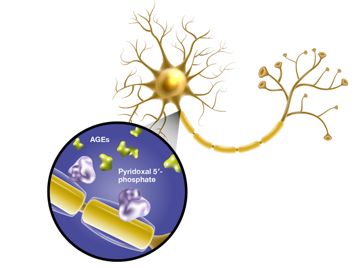 Learn How Metanx® Works
