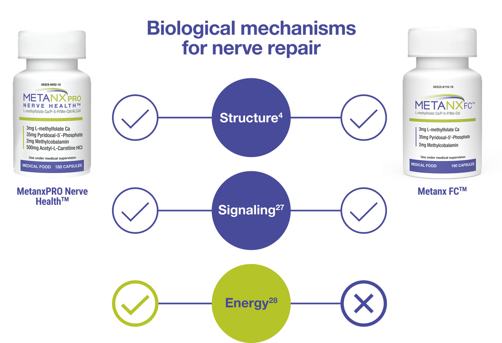 l-carnitine nerve regeneration Learn How Metanx® Works l-carnitine nerve regeneration Learn How Metanx® Works